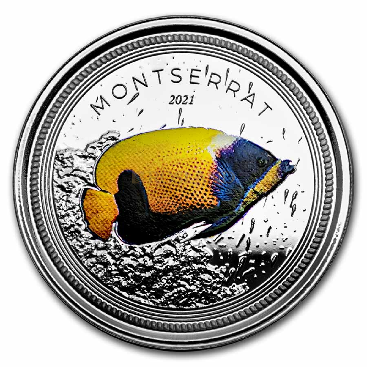 1 Unze Silbermünze EC8 Montserrat Blue Girdled Angelfish 2021 PP (Koloriert, Box)
