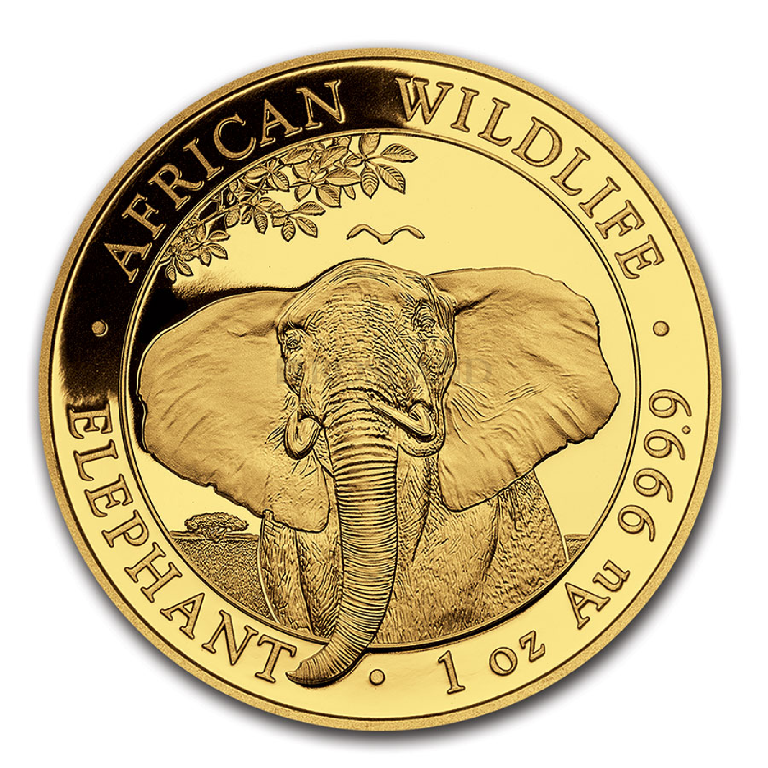 1 Unze Goldmünze Somalia Elefant 2021