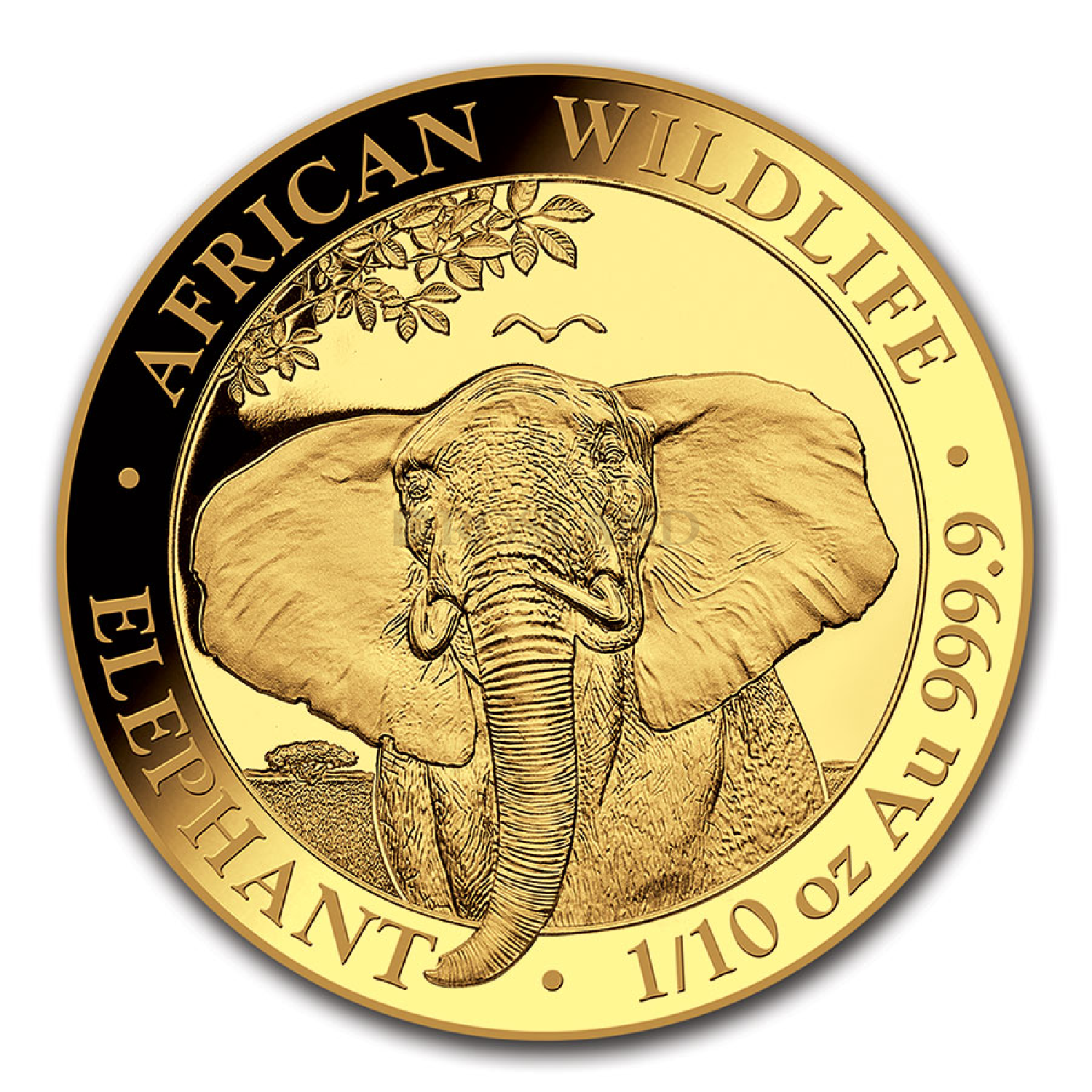 1/10 Unze Goldmünze Somalia Elefant 2021