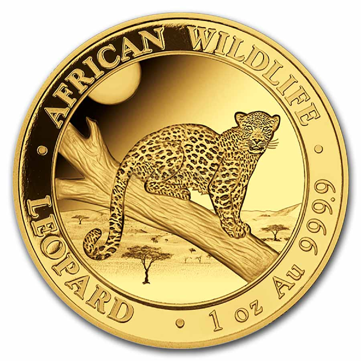 1 Unze Goldmünze Somalia Leopard 2021