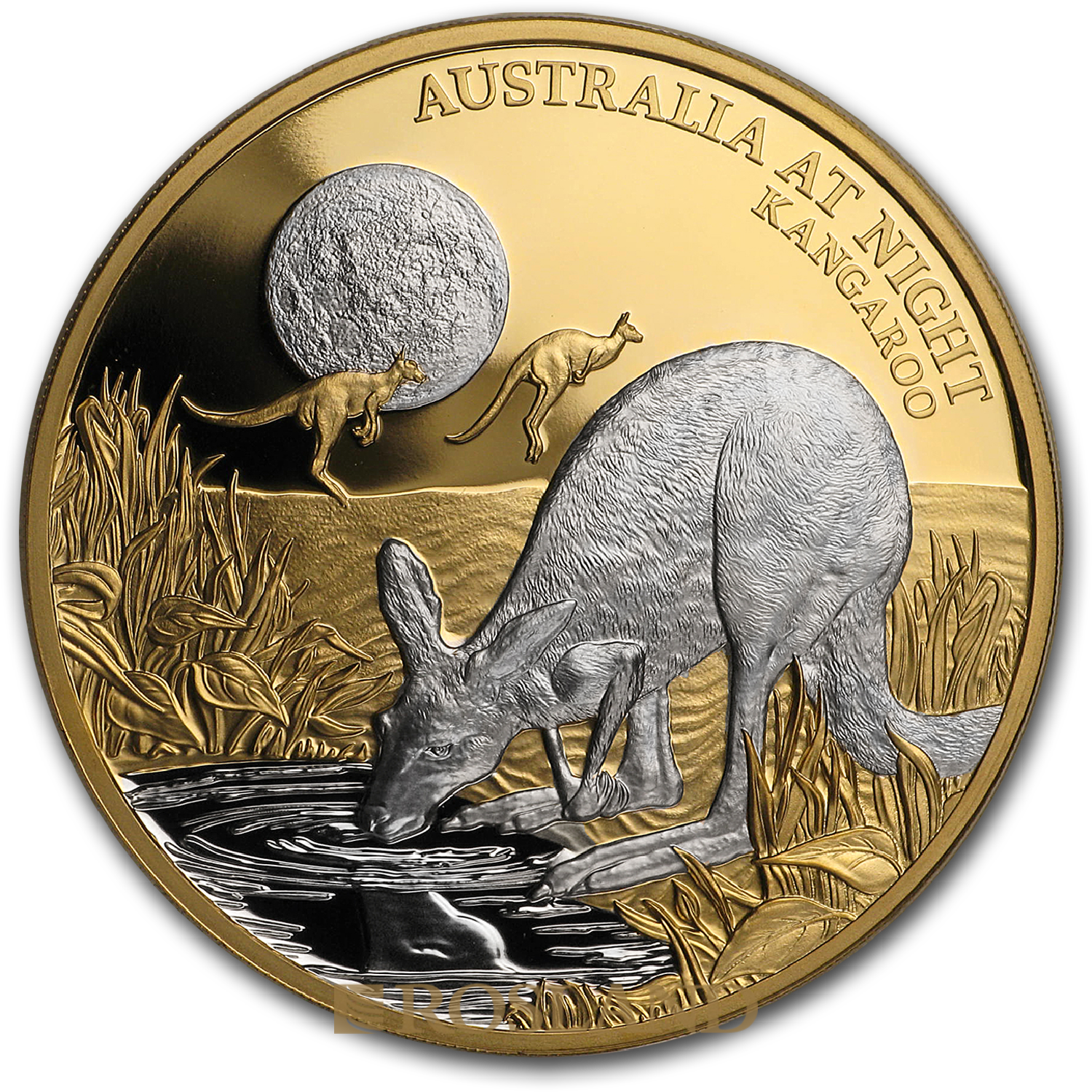 1 Unze Goldmünze Känguru - Australien bei Nacht 2019 PP (Box, Zertifikat)