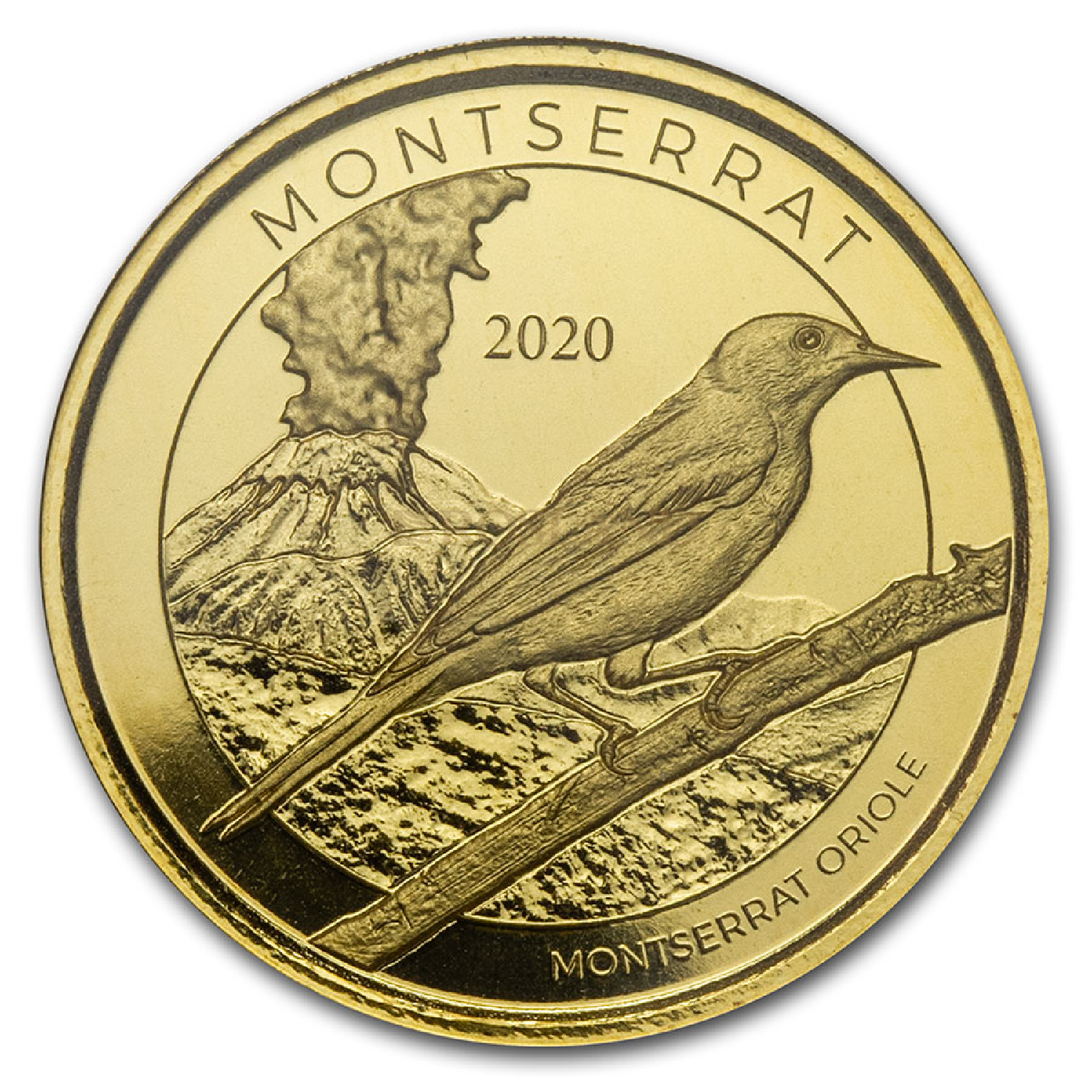 1 Unze Goldmünze EC8 Montserrat Oriole 2020 (Blister, Zertifikat)